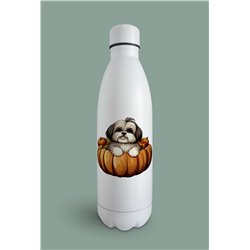 Insulated Bottle  - st 46