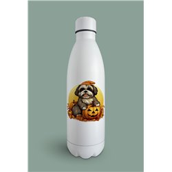Insulated Bottle  - st 48