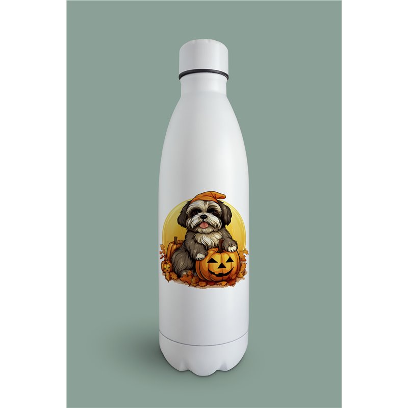 Insulated Bottle  - st 48