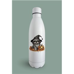 Insulated Bottle  - st 51