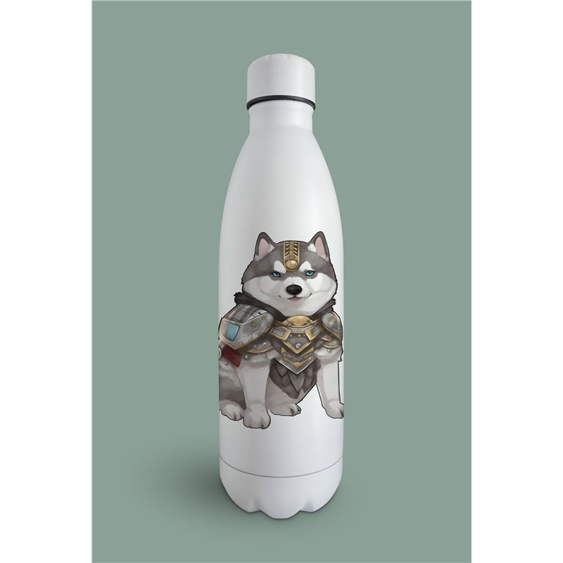 Insulated Bottle  - sh 4
