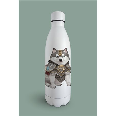 Insulated Bottle  - sh 4