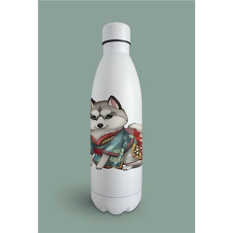 Insulated Bottle  - sh 5