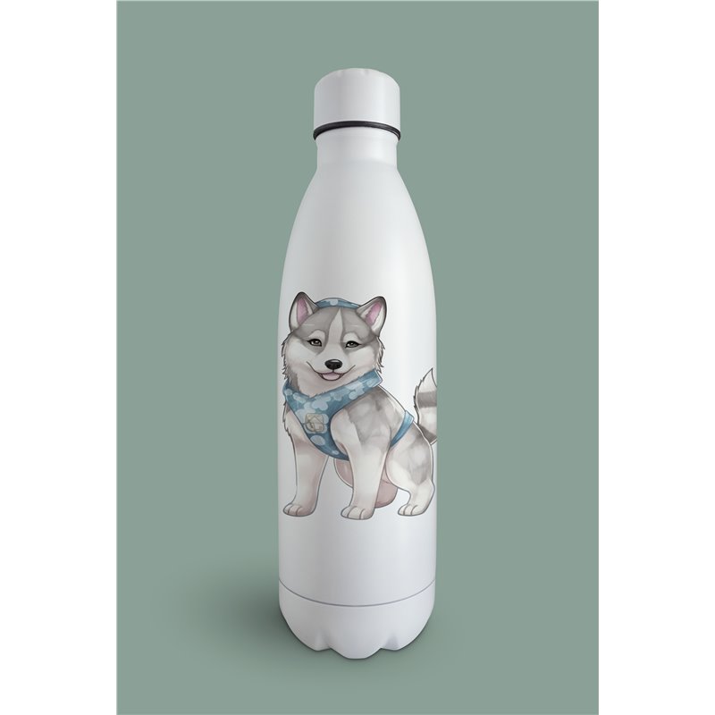 Insulated Bottle  - sh 7