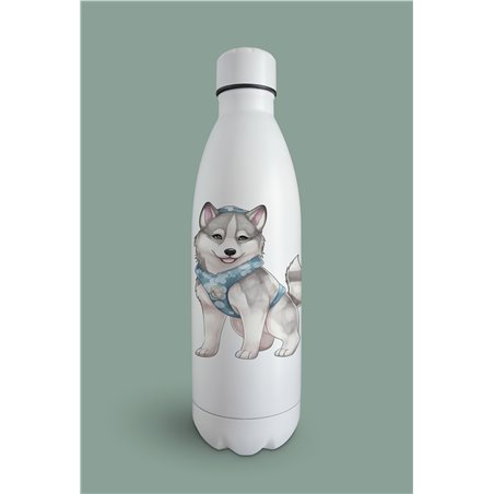 Insulated Bottle  - sh 7