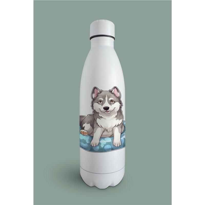 Insulated Bottle  - sh 8