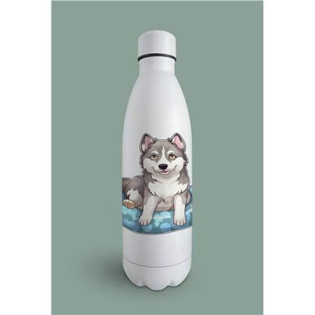 Insulated Bottle  - sh 8