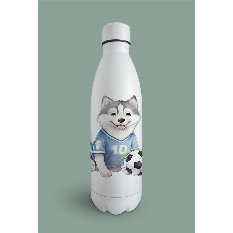 Insulated Bottle  - sh 26