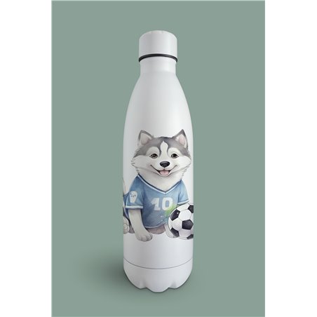 Insulated Bottle  - sh 26