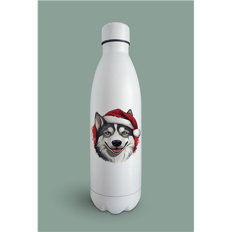 Insulated Bottle  - sh 27