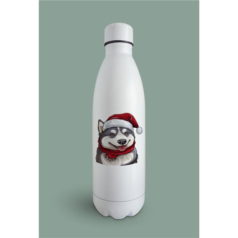 Insulated Bottle  - sh 28