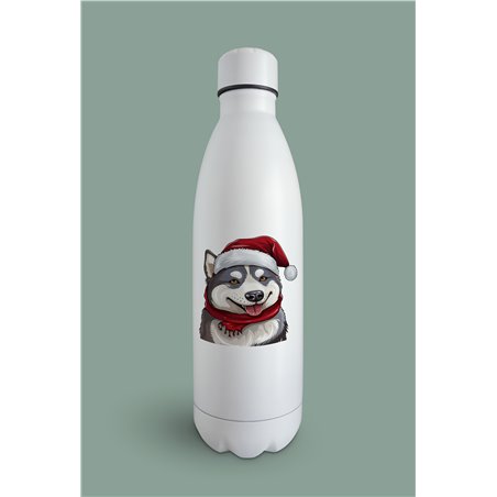 Insulated Bottle  - sh 28