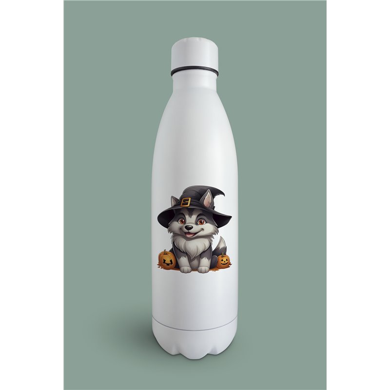 Insulated Bottle  - sh 29