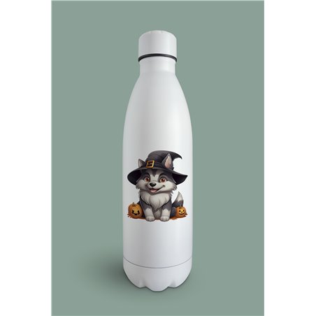 Insulated Bottle  - sh 29