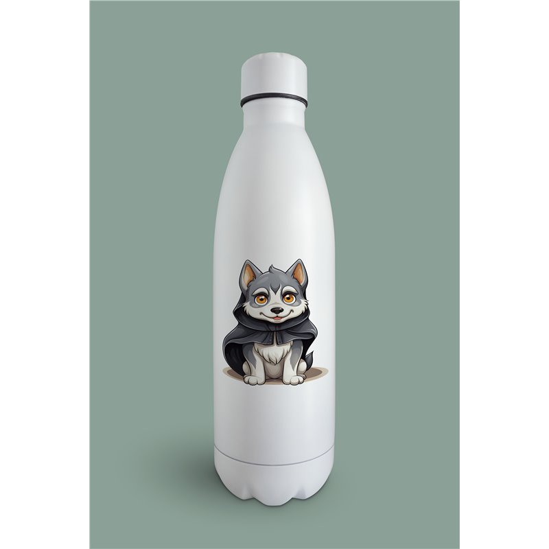 Insulated Bottle  - sh 30