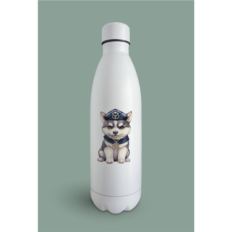 Insulated Bottle  - sh 33