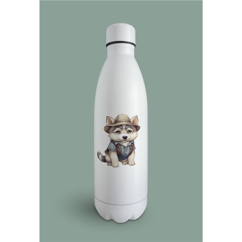 Insulated Bottle  - sh 34