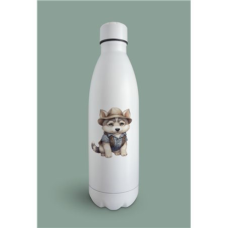Insulated Bottle  - sh 34
