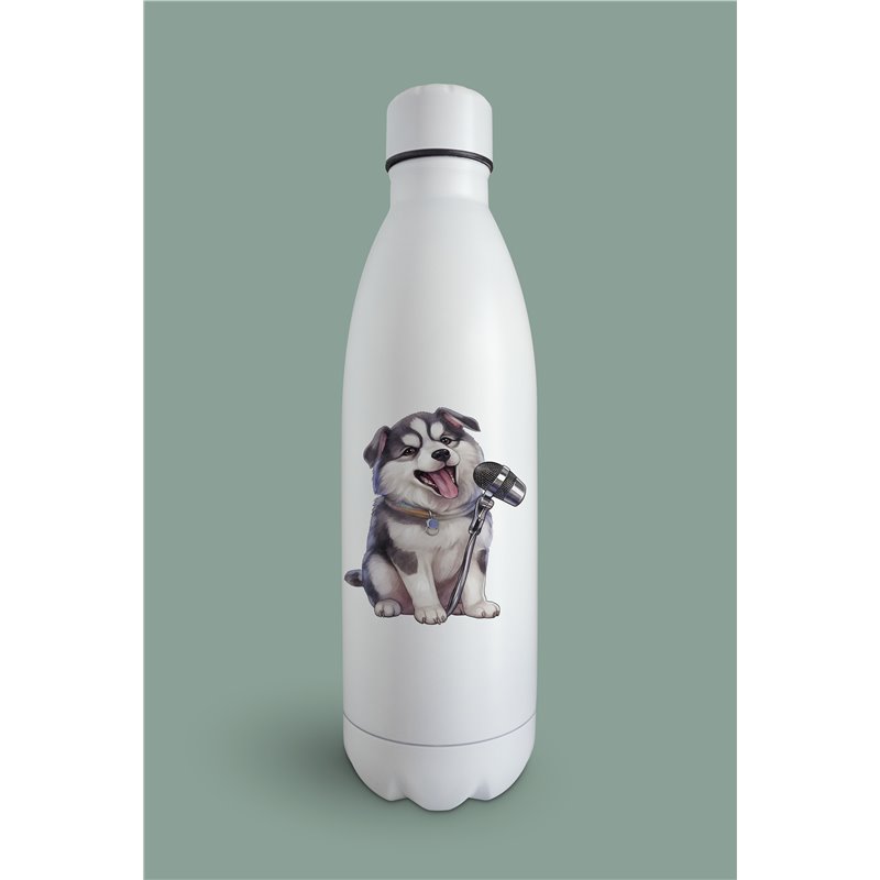 Insulated Bottle  - sh 35