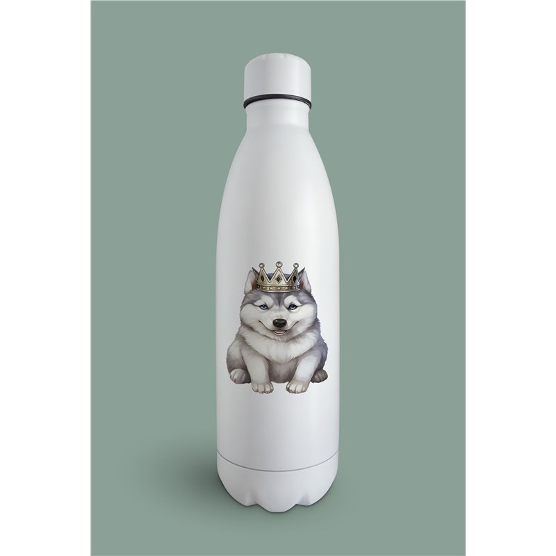 Insulated Bottle  - sh 36