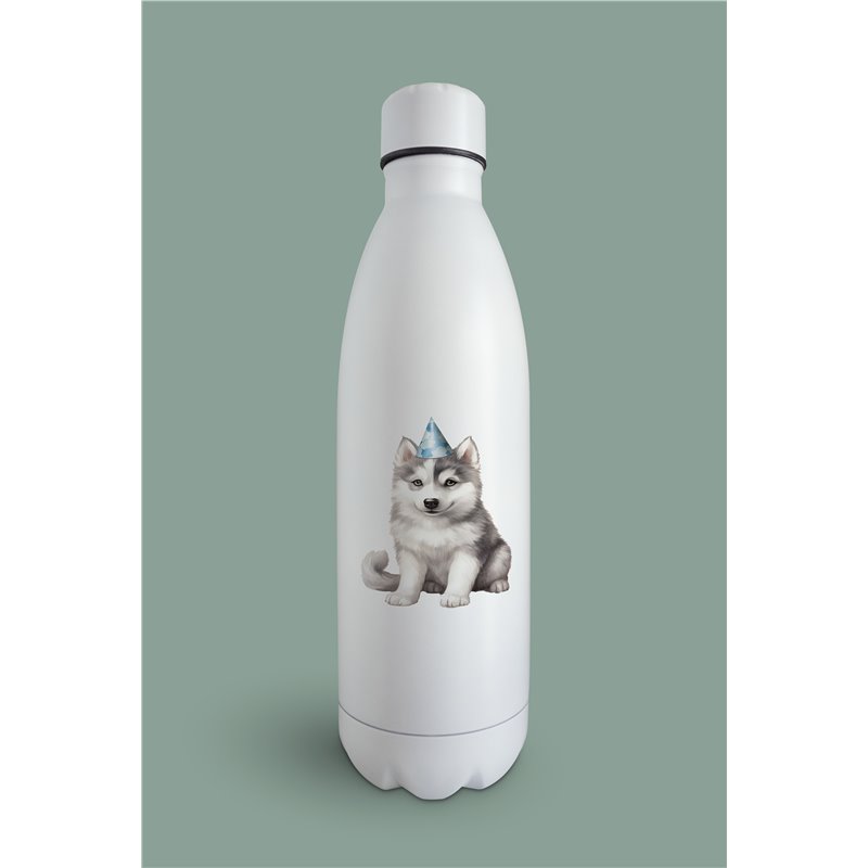 Insulated Bottle  - sh 38