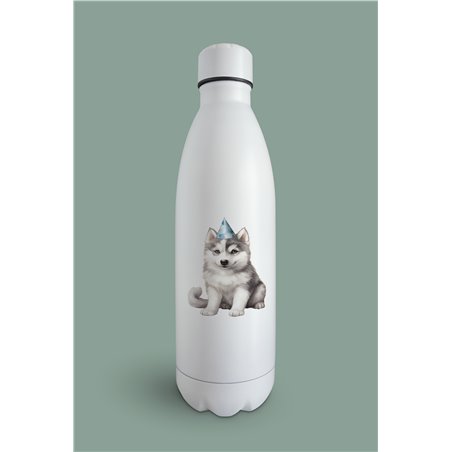 Insulated Bottle  - sh 38