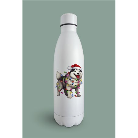 Insulated Bottle  - sh 39