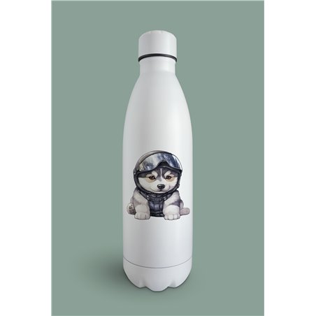 Insulated Bottle  - sh 40