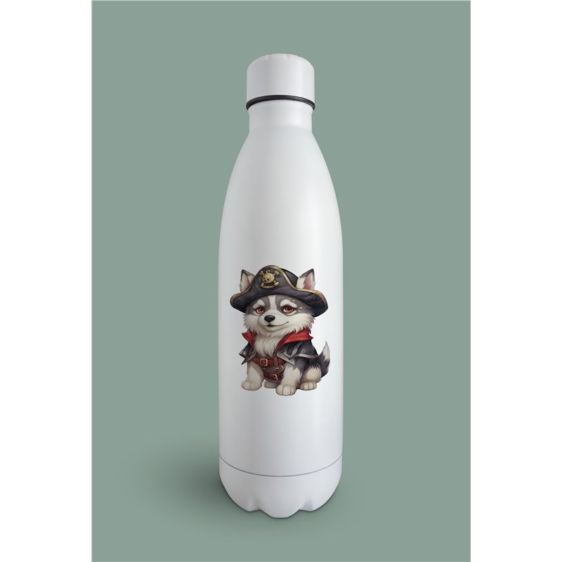 Insulated Bottle  - sh 42