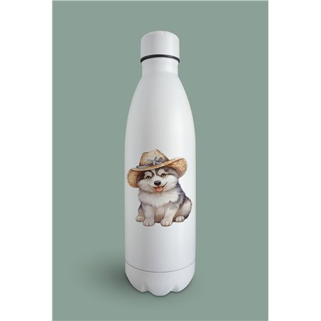 Insulated Bottle  - sh 43