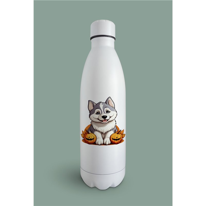 Insulated Bottle  - sh 44