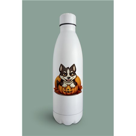 Insulated Bottle  - sh 45