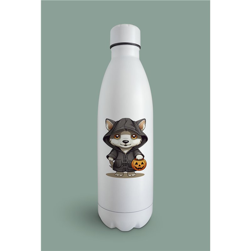 Insulated Bottle  - sh 49