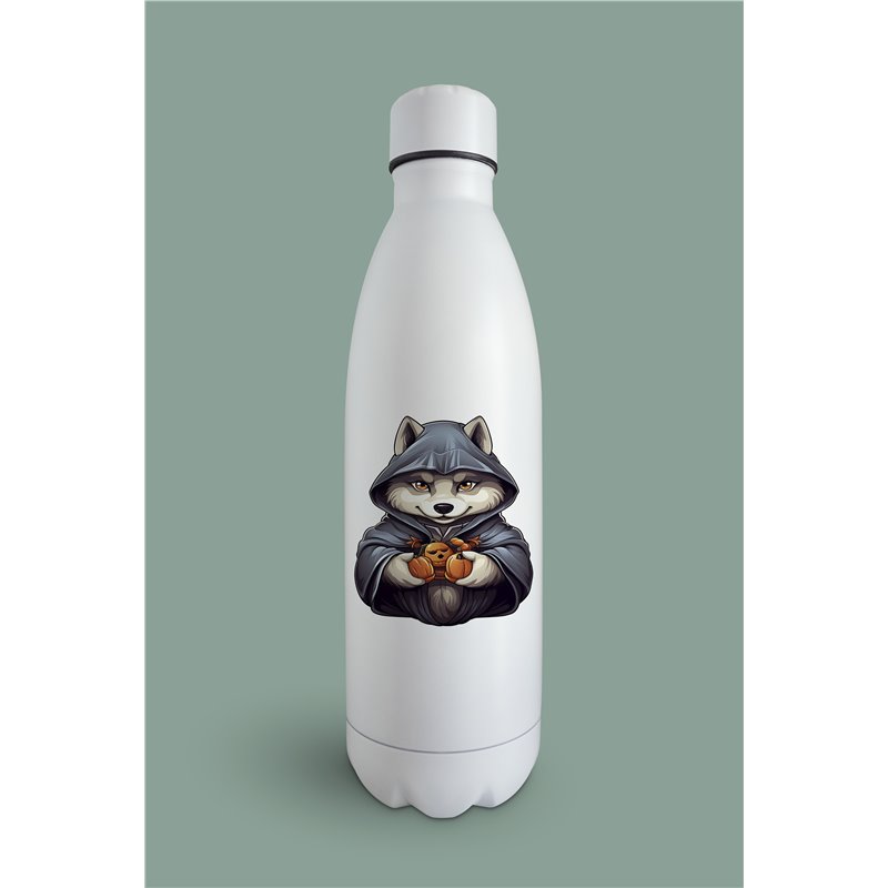 Insulated Bottle  - sh 50
