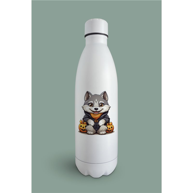 Insulated Bottle  - sh 51