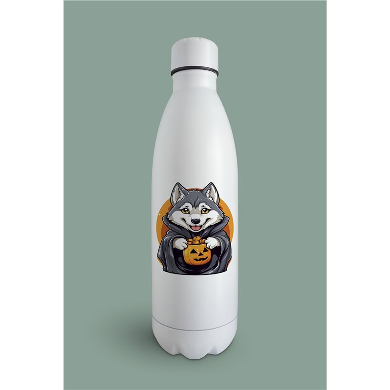 Insulated Bottle  - sh 53