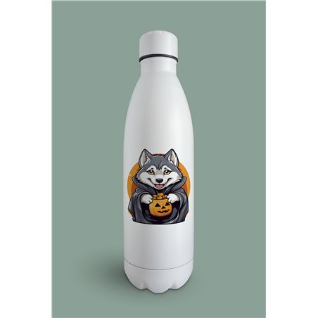 Insulated Bottle  - sh 53