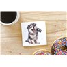 Ceramic Tile Coaster/ Trivet - sh 34