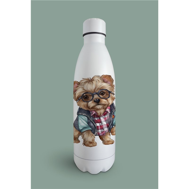 Insulated Bottle  - yt 3