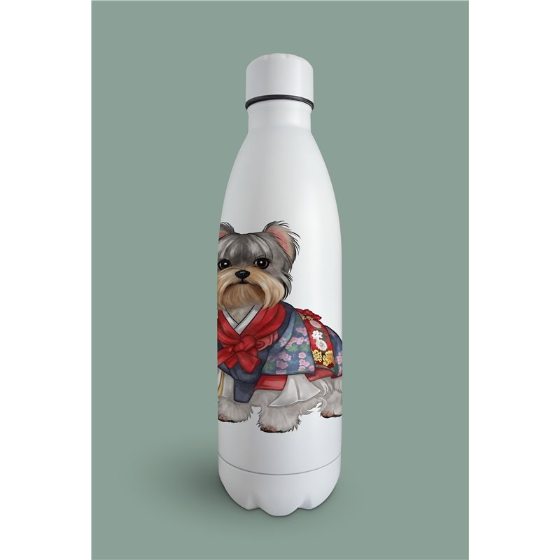 Insulated Bottle  - yt 5