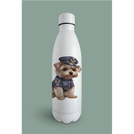 Insulated Bottle  - yt 6