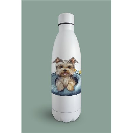 Insulated Bottle  - yt 8