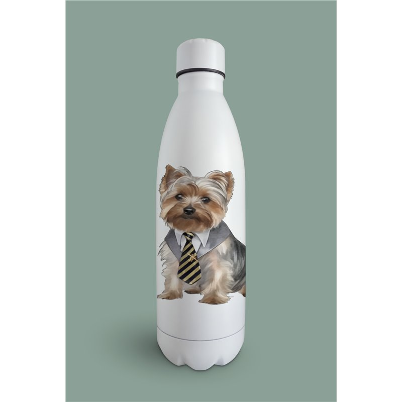 Insulated Bottle  - yt 9