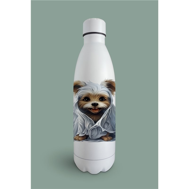 Insulated Bottle  - yt 27