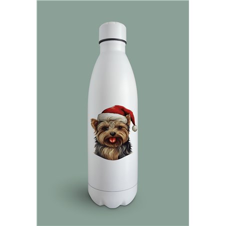 Insulated Bottle  - yt 31