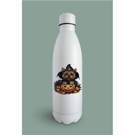 Insulated Bottle  - yt 36