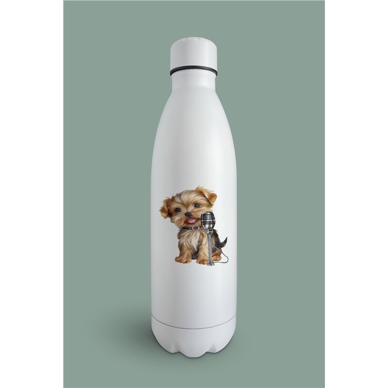 Insulated Bottle  - yt 38