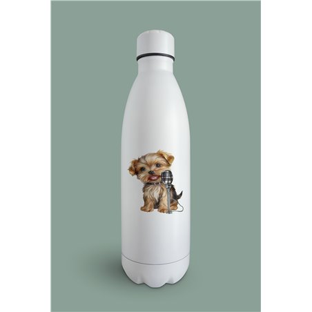 Insulated Bottle  - yt 38