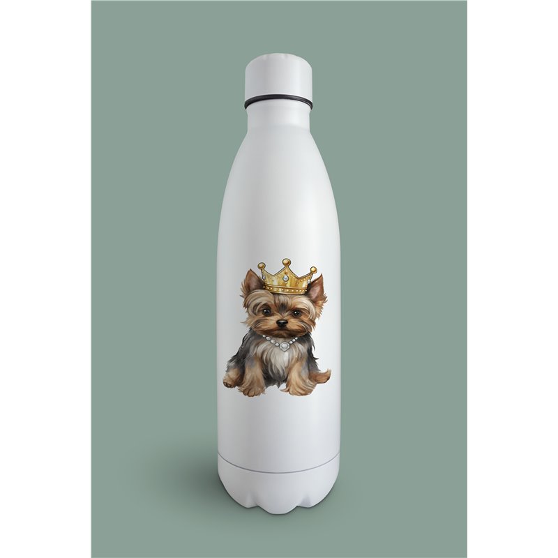 Insulated Bottle  - yt 39