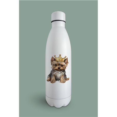 Insulated Bottle  - yt 39